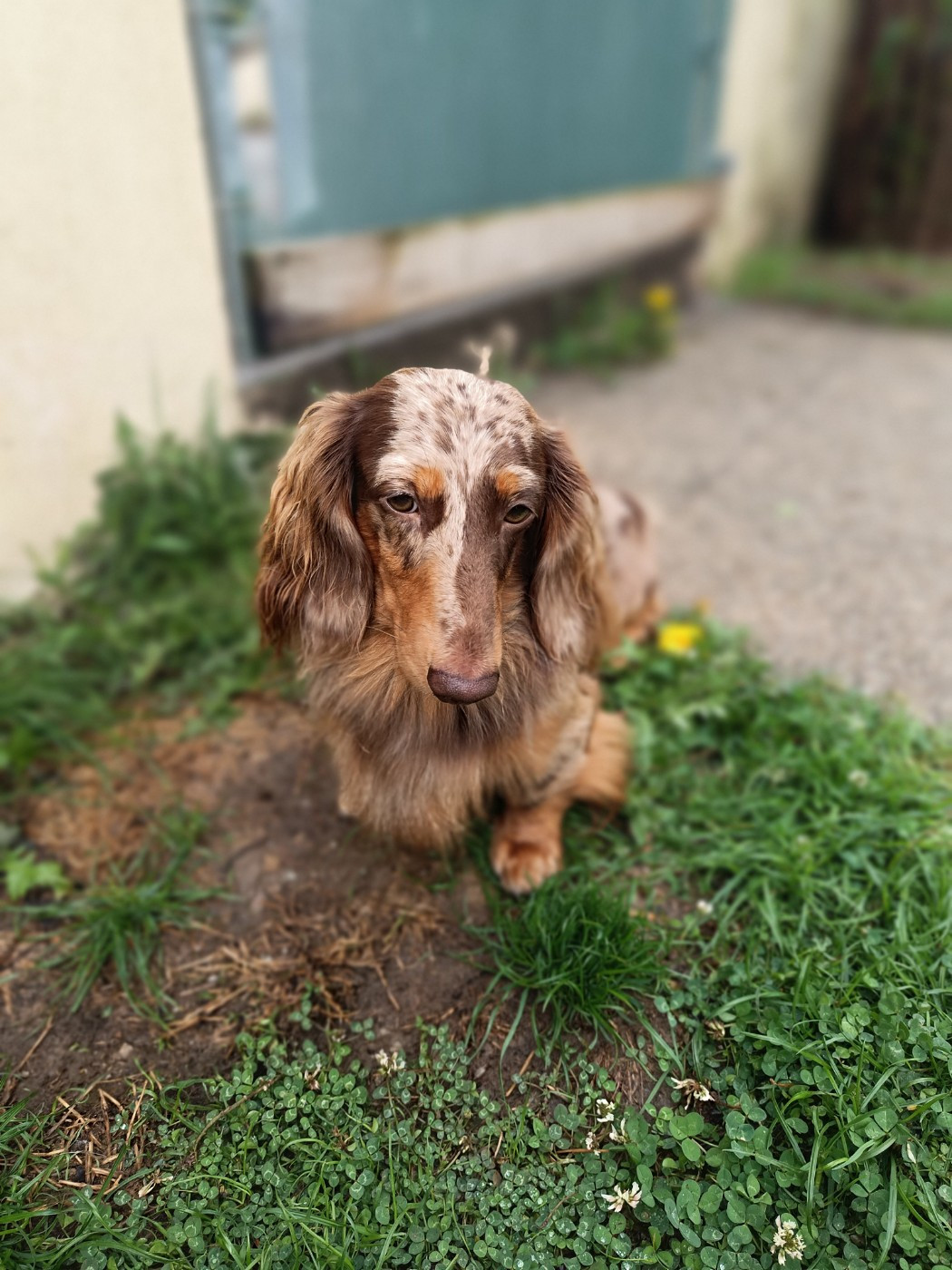 Littl Fut Xtrem choco spirit